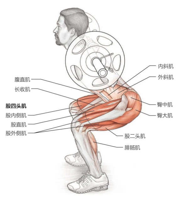 为什么互动训练有助于提高篮球比赛表现_0